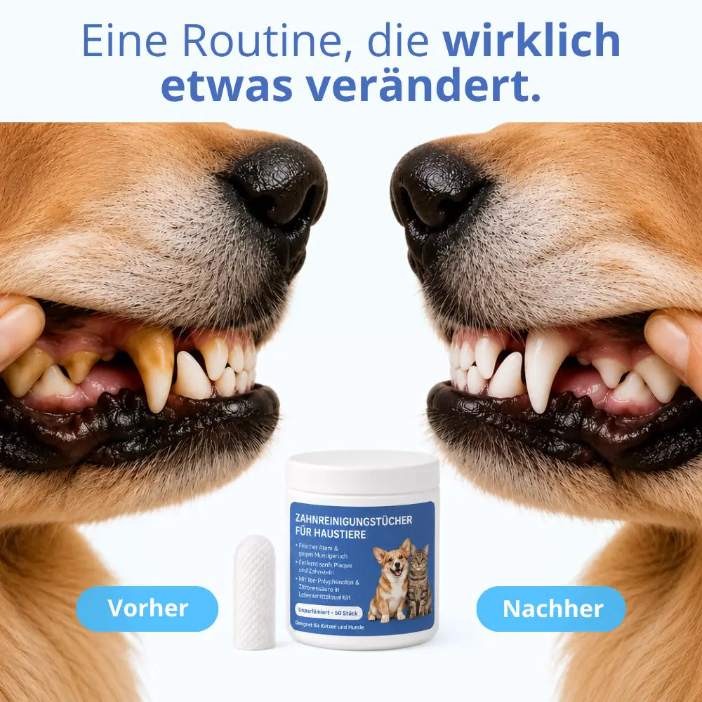 Zahnpflegetücher gegen Zahnstein für Hunde