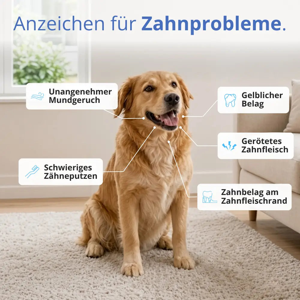 Zahnpflegetücher gegen Zahnstein für Hunde