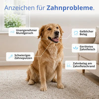Zahnpflegetücher gegen Zahnstein für Hunde