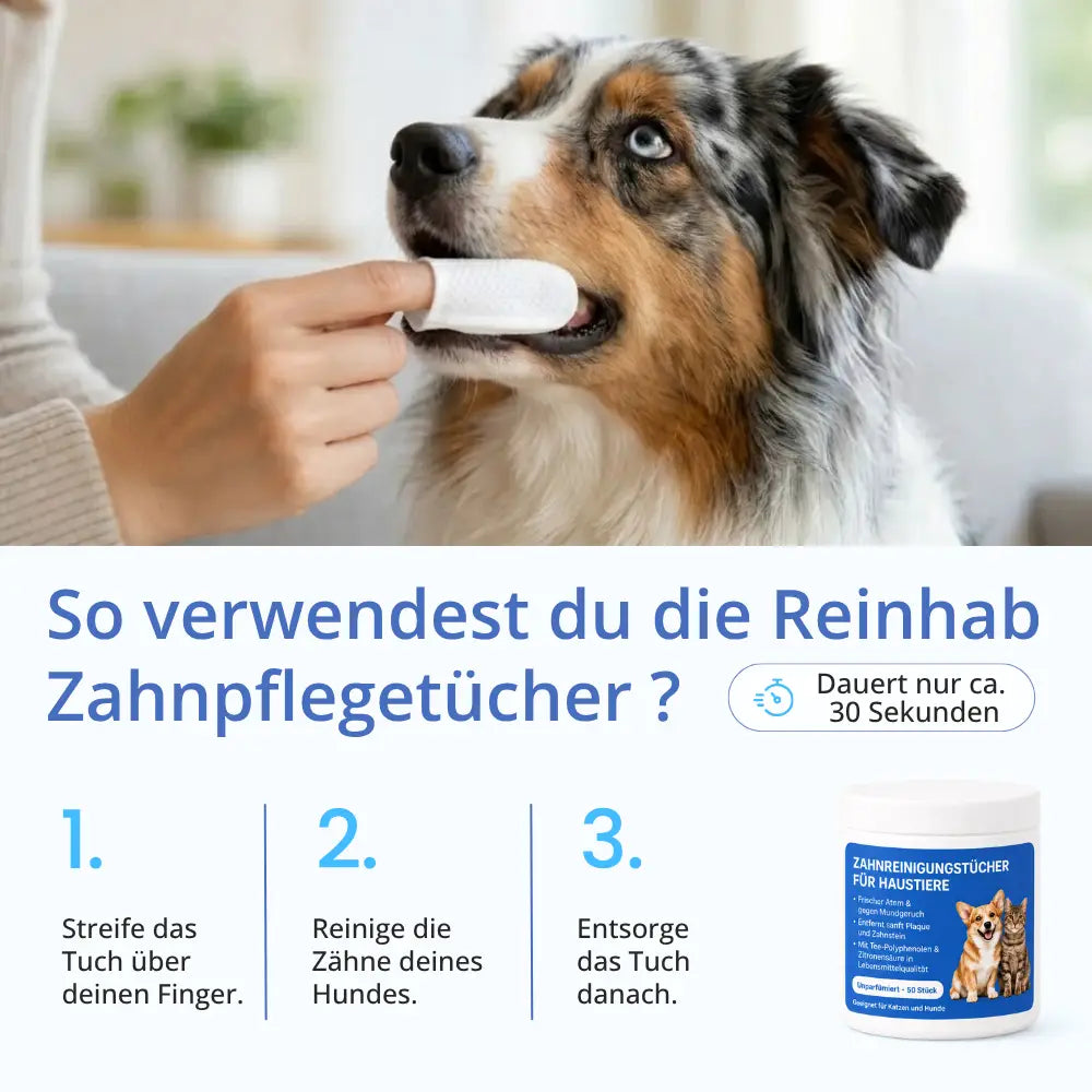 Zahnpflegetücher gegen Zahnstein für Hunde