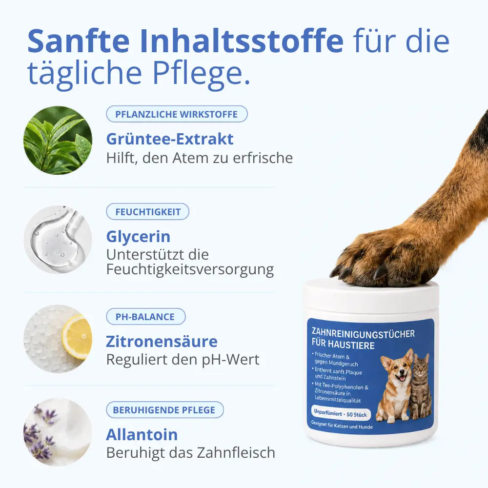 Zahnpflegetücher gegen Zahnstein für Hunde