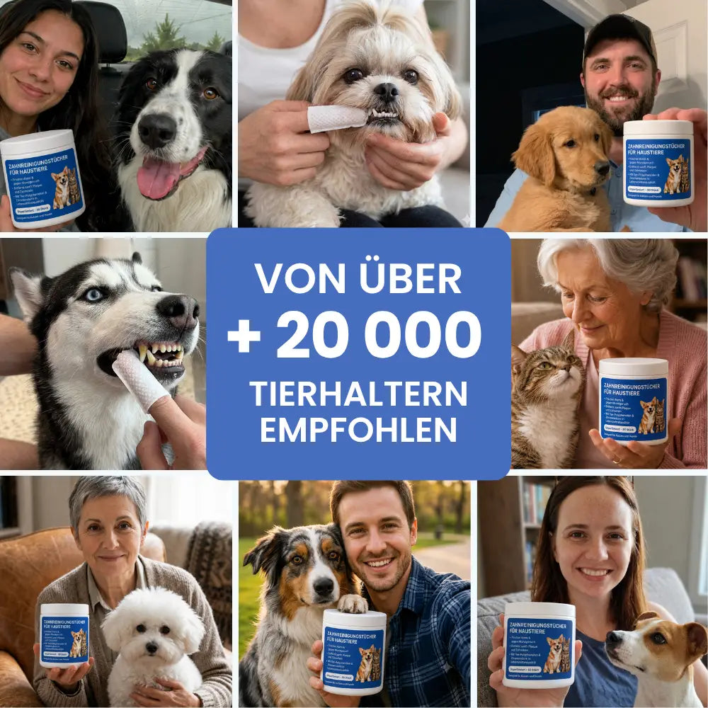 Zahnpflegetücher gegen Zahnstein für Hunde