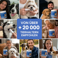 Zahnpflegetücher gegen Zahnstein für Hunde