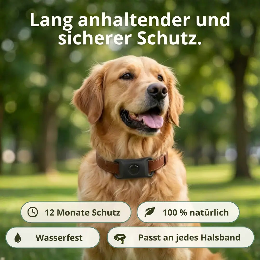 Anti-Zecken 100% Natürlich
