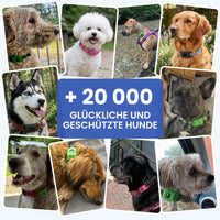 Anti-Zecken 100% Natürlich