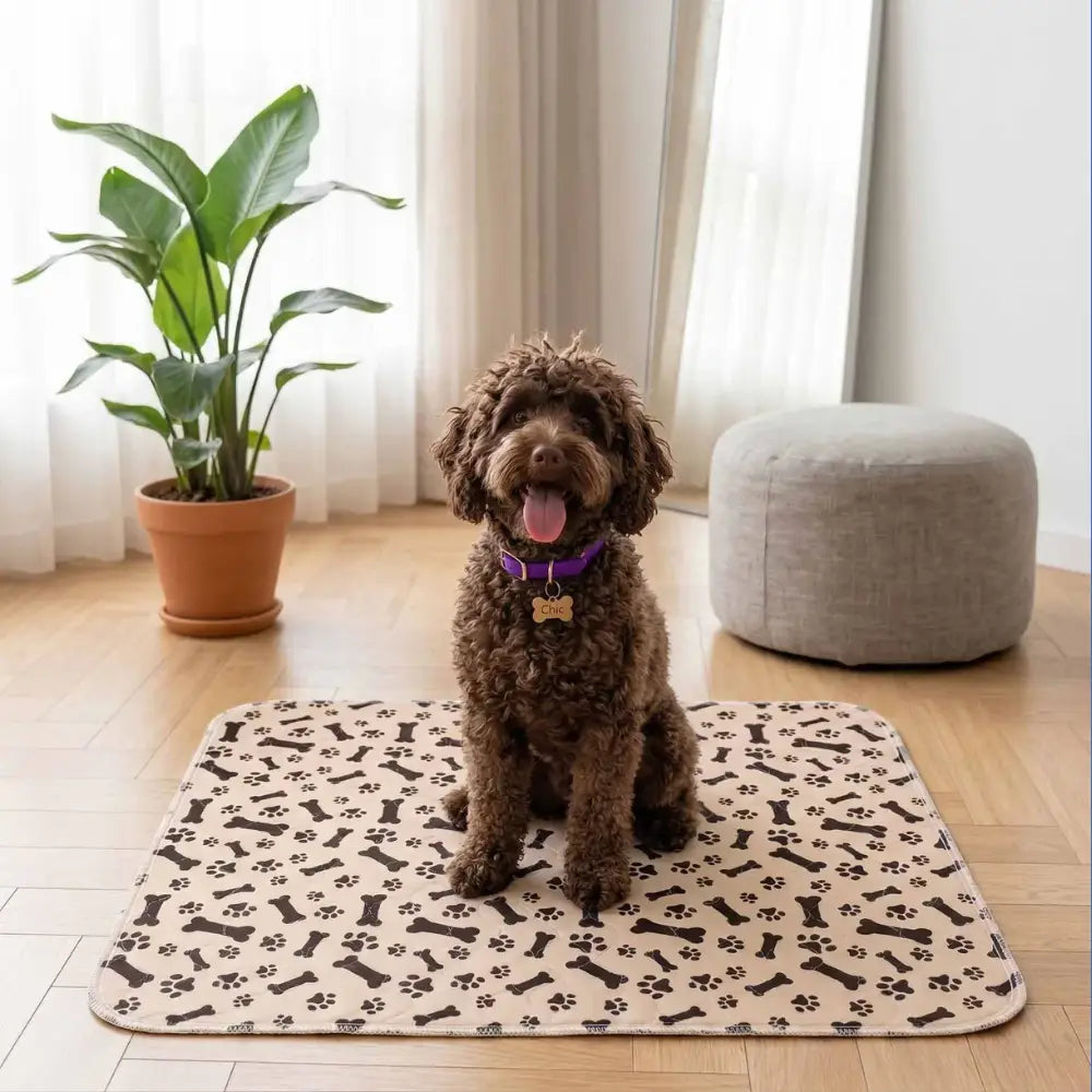 Saugfähige, waschbare Hygienematte für Hunde und Welpen