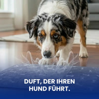 Saugfähige, waschbare Hygienematte für Hunde und Welpen