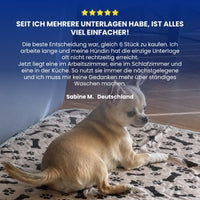 Saugfähige, waschbare Hygienematte für Hunde und Welpen