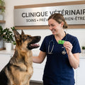 Dr. Susanne Hartmann