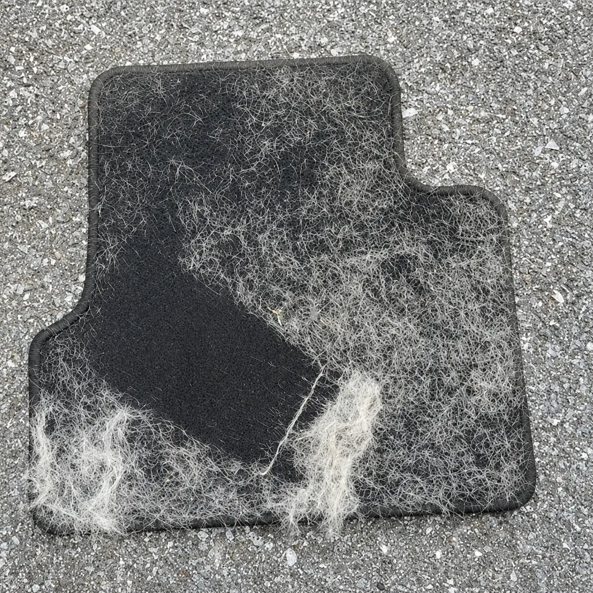 Tierhaarentferner-Handschuh